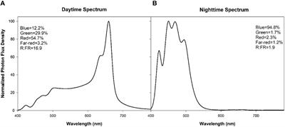 Photosynthetic adaptation strategies in peppers under continuous lighting: insights into photosystem protection